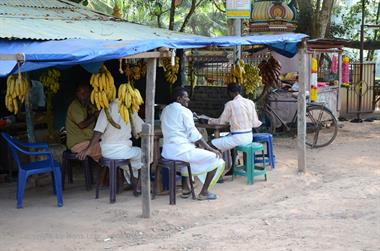 On the Route to Chowara Beach,_DSC_9765_H600